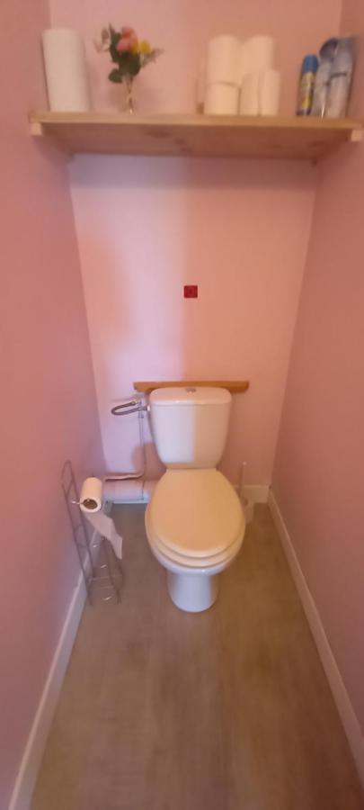 Le Petit Loup Palois - Terrasse & Wifi Fibre Apartment Pau